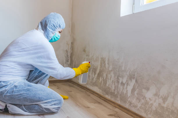 Mold Remediation specialist working in Bahama