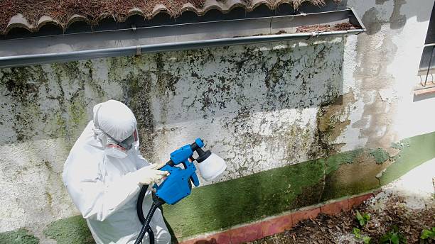 Mold Remediation service in Bahama, Bahama, NC